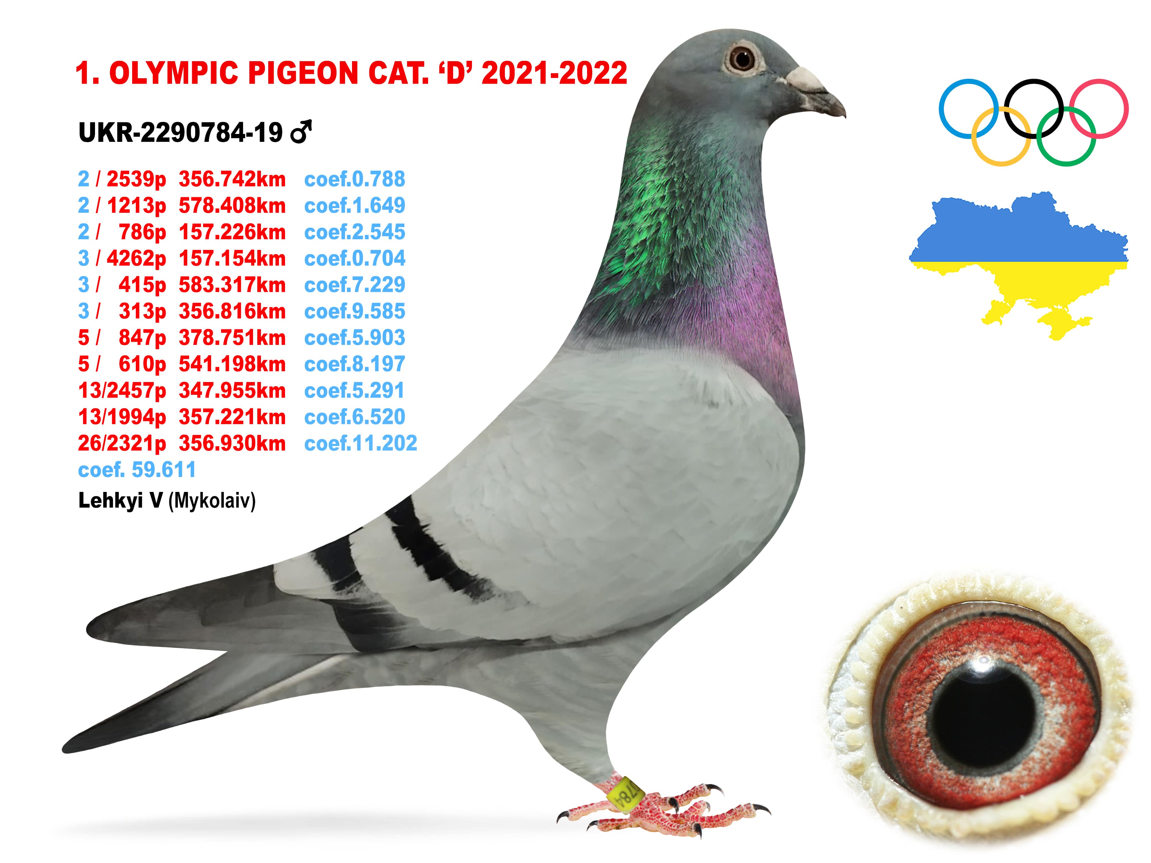 2022-D1
